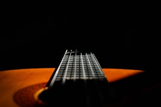 close-up photography of black and brown guitar