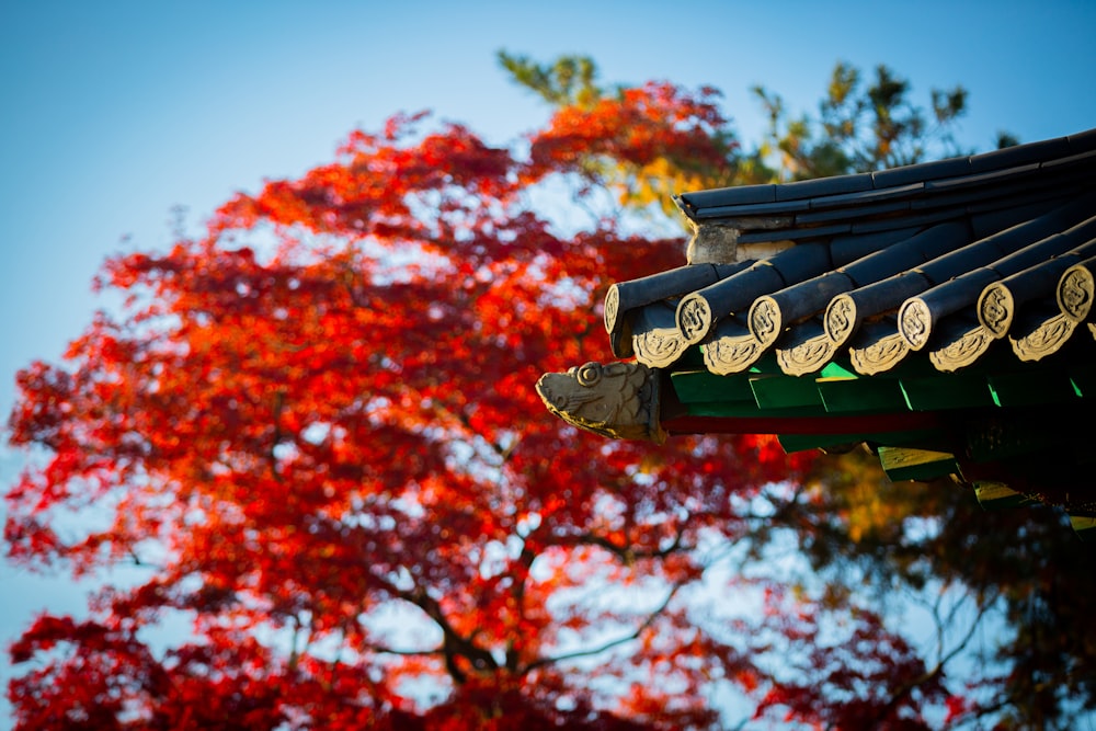 Un primo piano di un tetto con un albero sullo sfondo