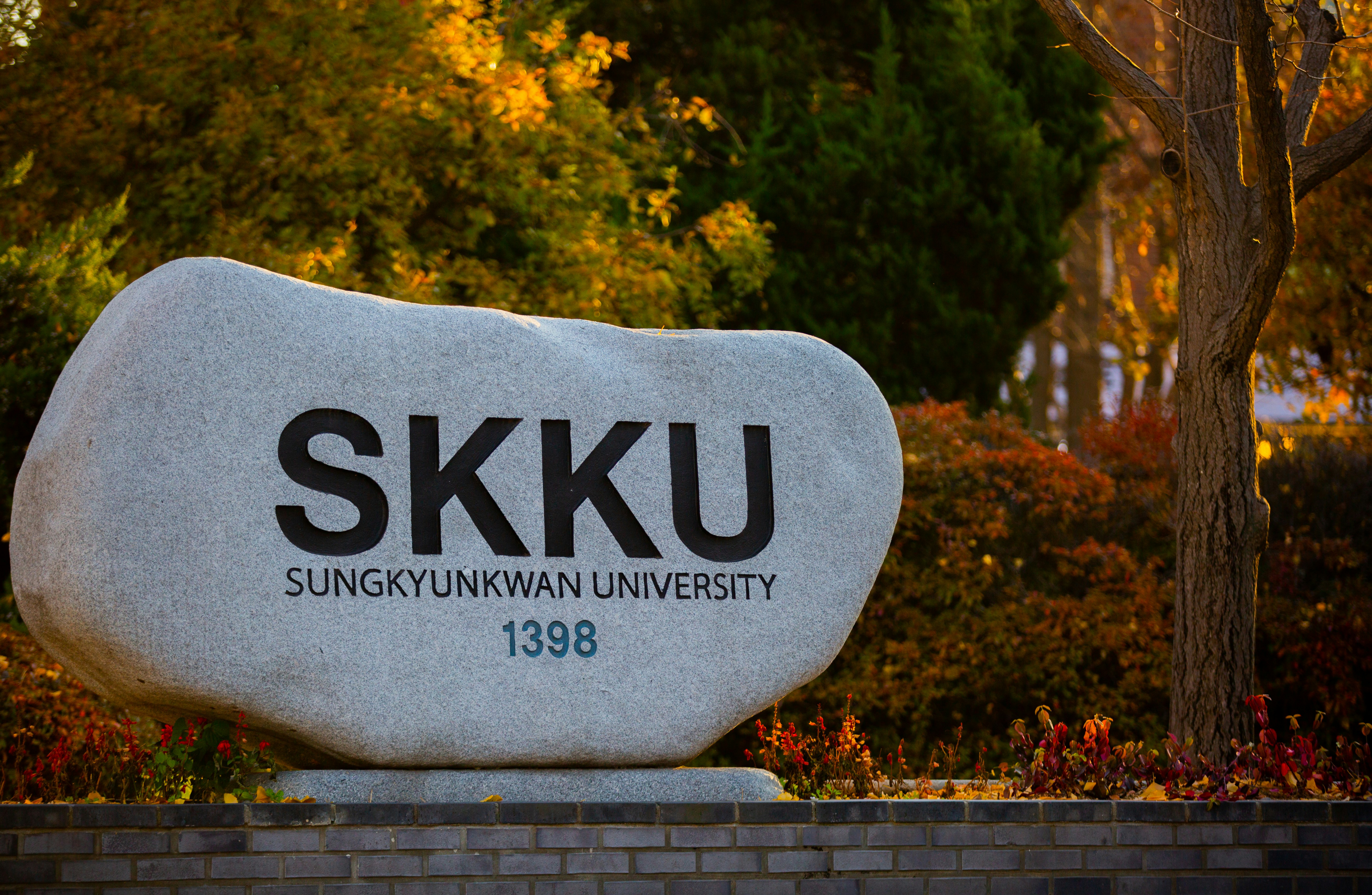 원광대 최신 트렌드와 혁신을 살펴보자