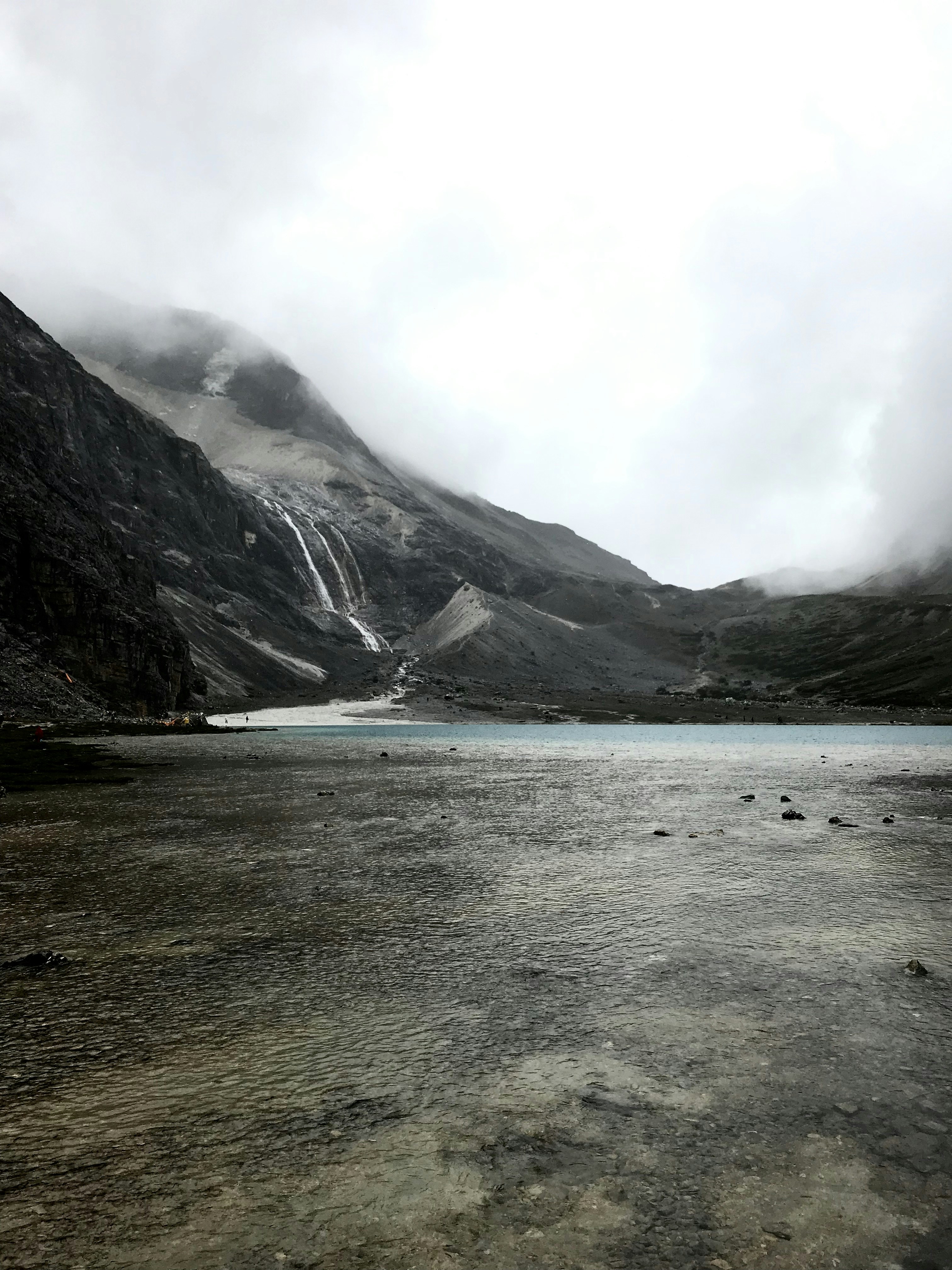 photo-1575036885754-d7a65e4aa493