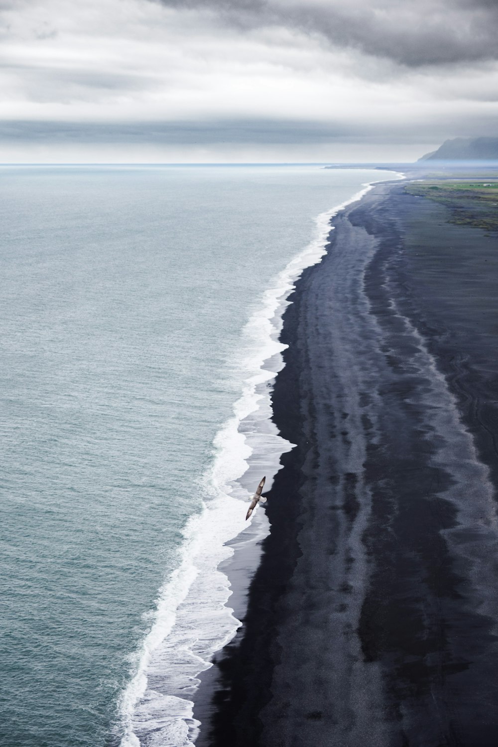 Foto en escala de grises de la línea de costa