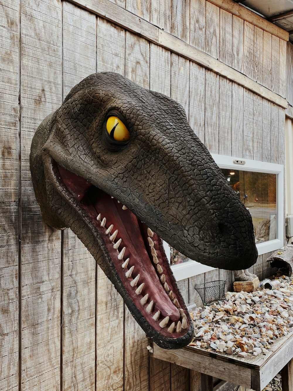 brown dinosaur head prop on wooden wall
