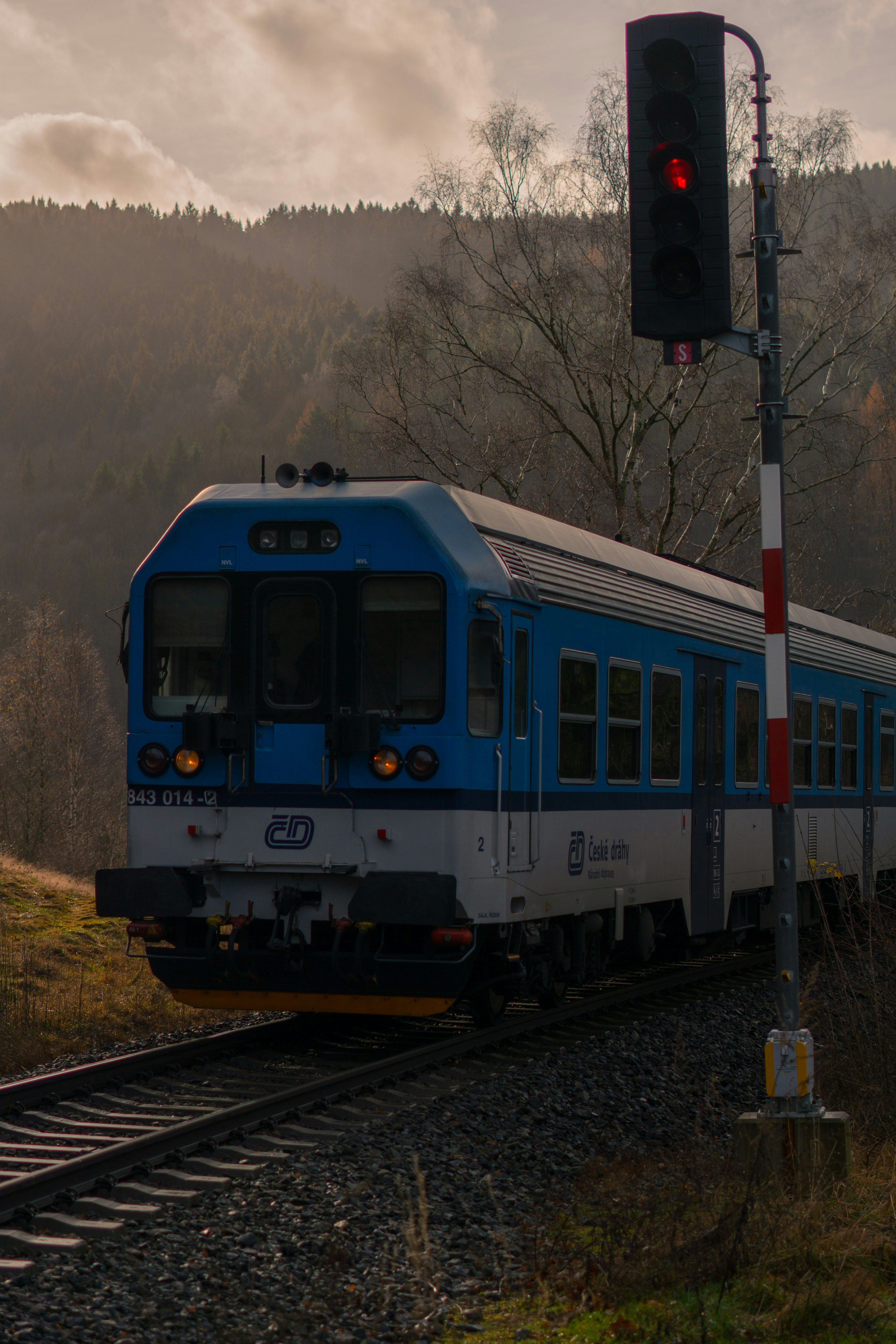 Photo by davidbenesph