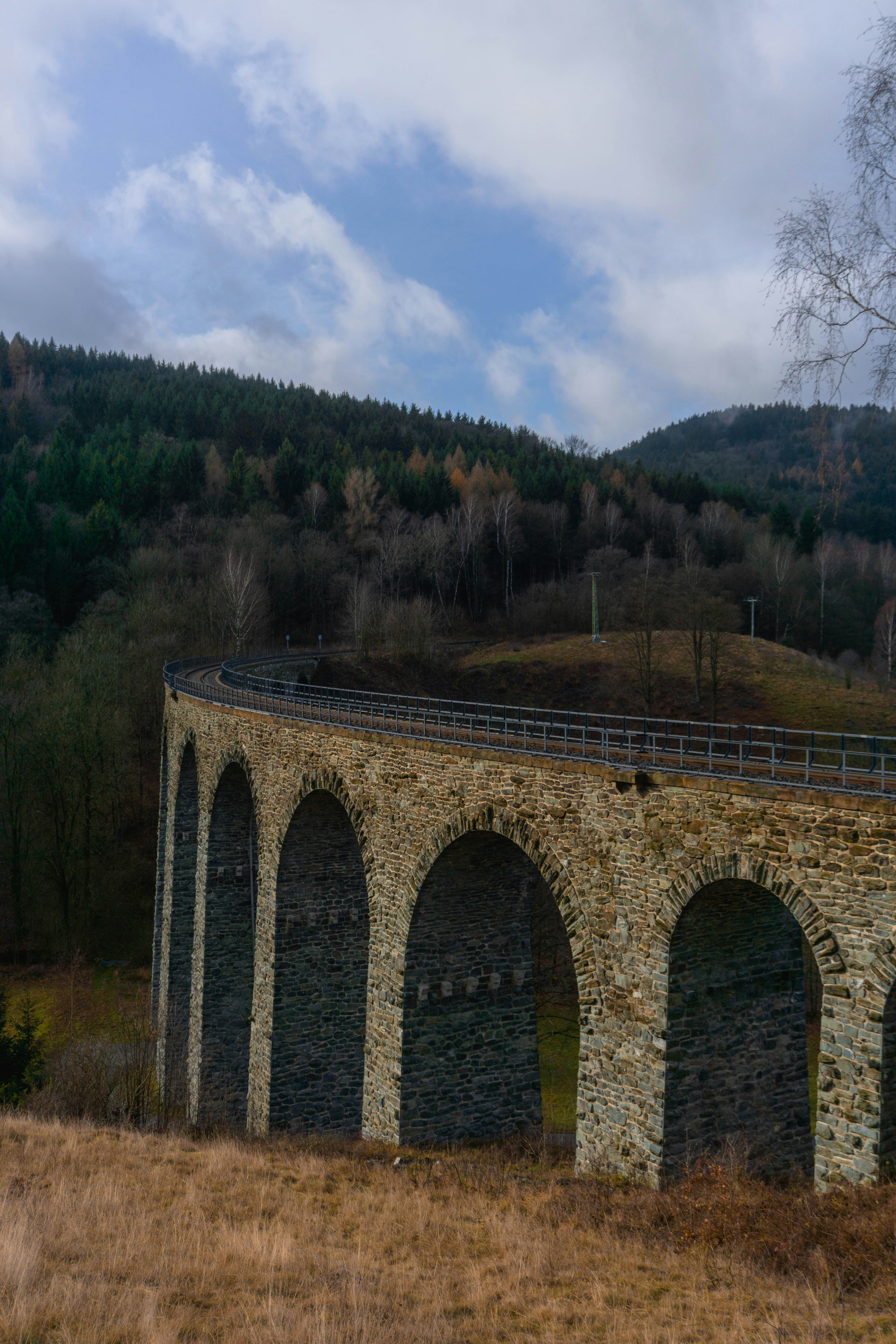 Photo by davidbenesph