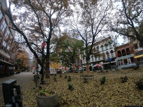 A quaint urban square is filled with fallen autumn leaves, surrounded by charming historic buildings with storefronts. The trees are adorned with lights and have sparse remaining foliage. Benches and planters are scattered around, while a lamppost is decorated with a red bow.