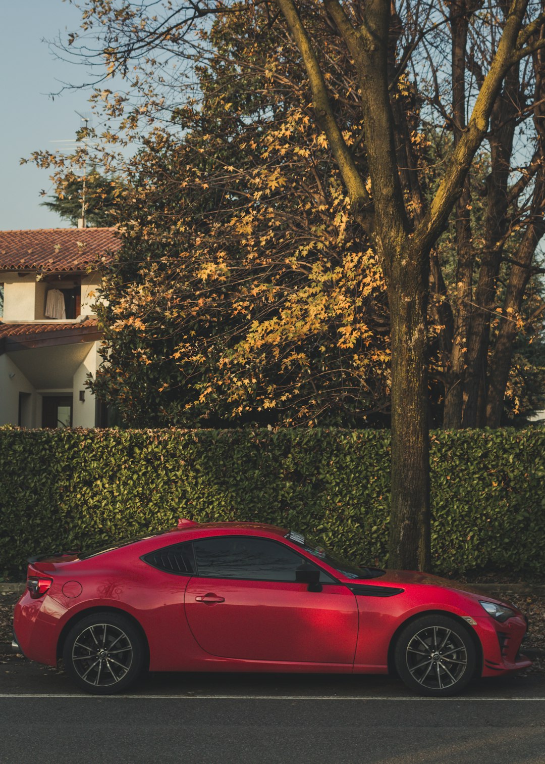 red couple parked on sidewalk beside tree