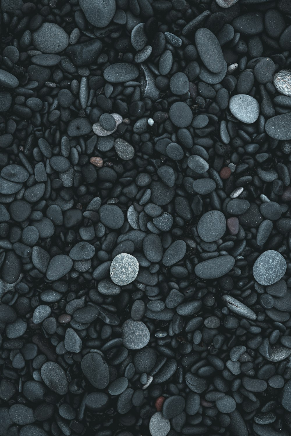 grey stone lot
