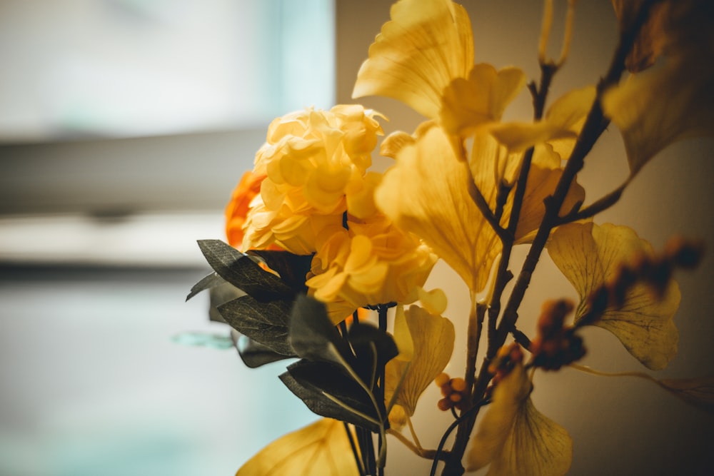 yellow petaled flower