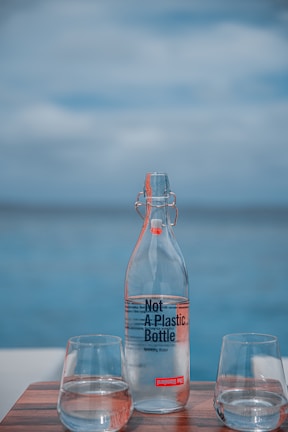 A glass bottle labeled 'Not A Plastic Bottle' containing sparkling water is placed alongside two glass cups, all resting on a wooden surface. The background is a serene view of the ocean under a cloudy sky.