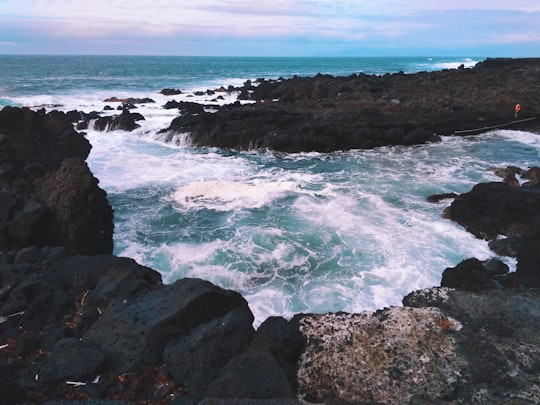 gray rocks in Ilha do Pico Portugal