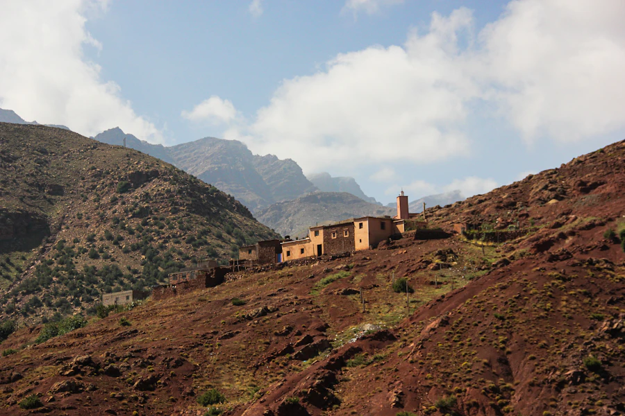 Maison berbère et oliveraie au pied de l'Atlas marocain