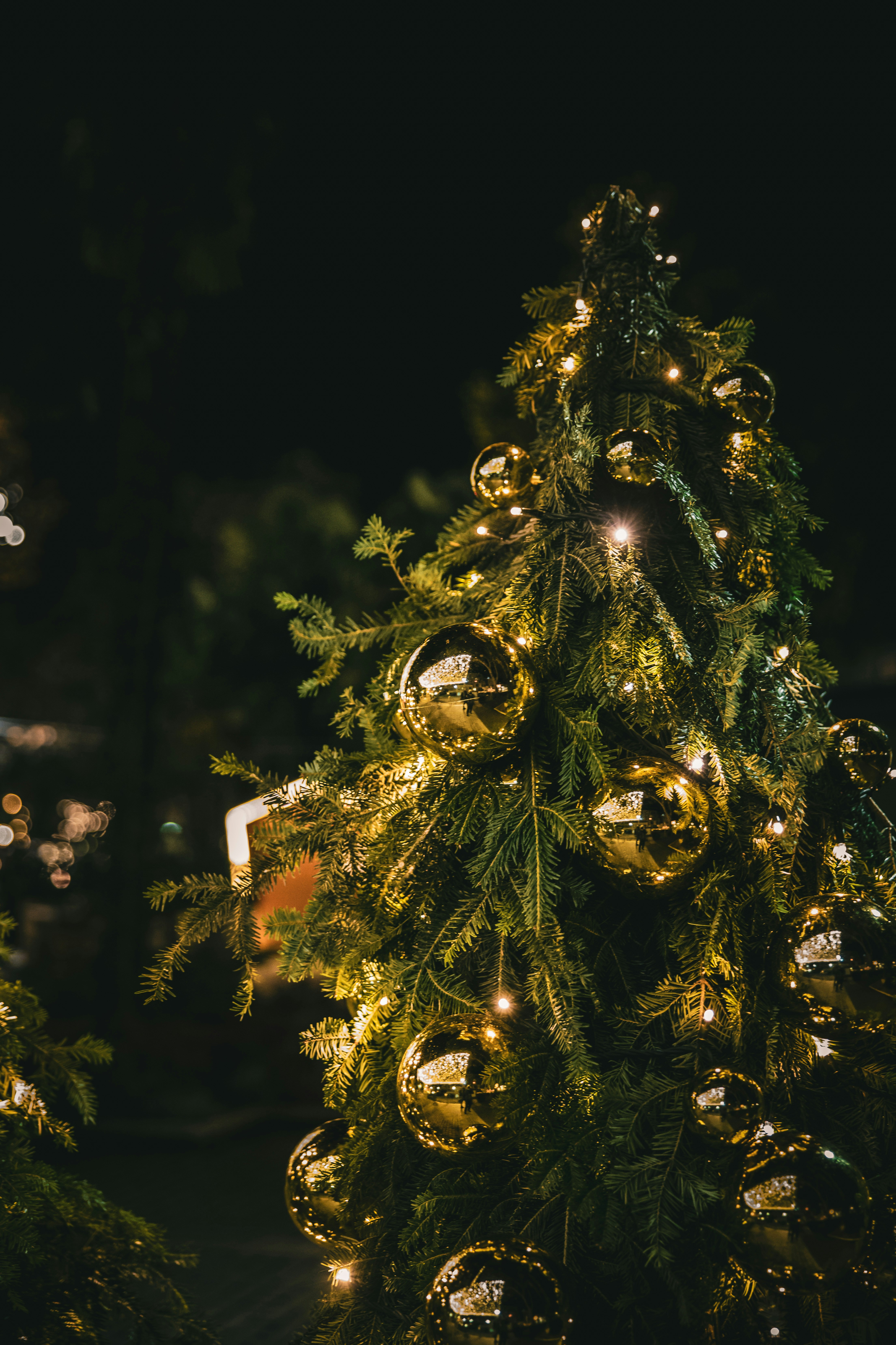 Photo by alessiozaccaria