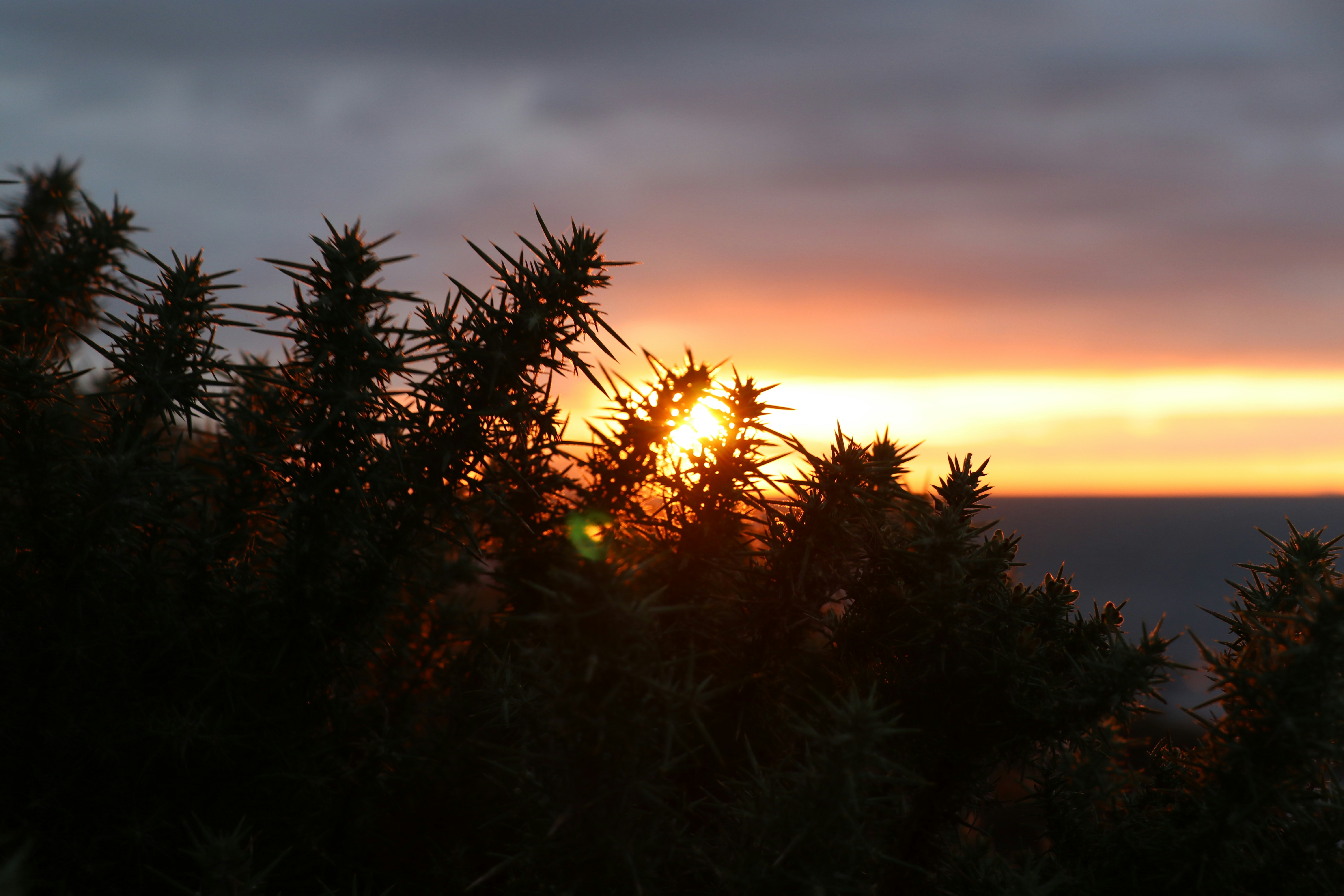 Photo by diegorjager