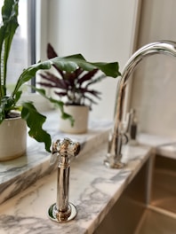 A kitchen countertop with a polished chrome faucet and handle, surrounded by two potted plants with broad green leaves on a marble surface. Natural light is streaming in through a nearby window.