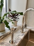 A kitchen countertop with a polished chrome faucet and handle, surrounded by two potted plants with broad green leaves on a marble surface. Natural light is streaming in through a nearby window.
