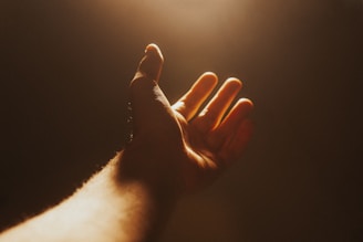 Close-up of hands raised in worship, bathed in soft natural light with earthy tones.