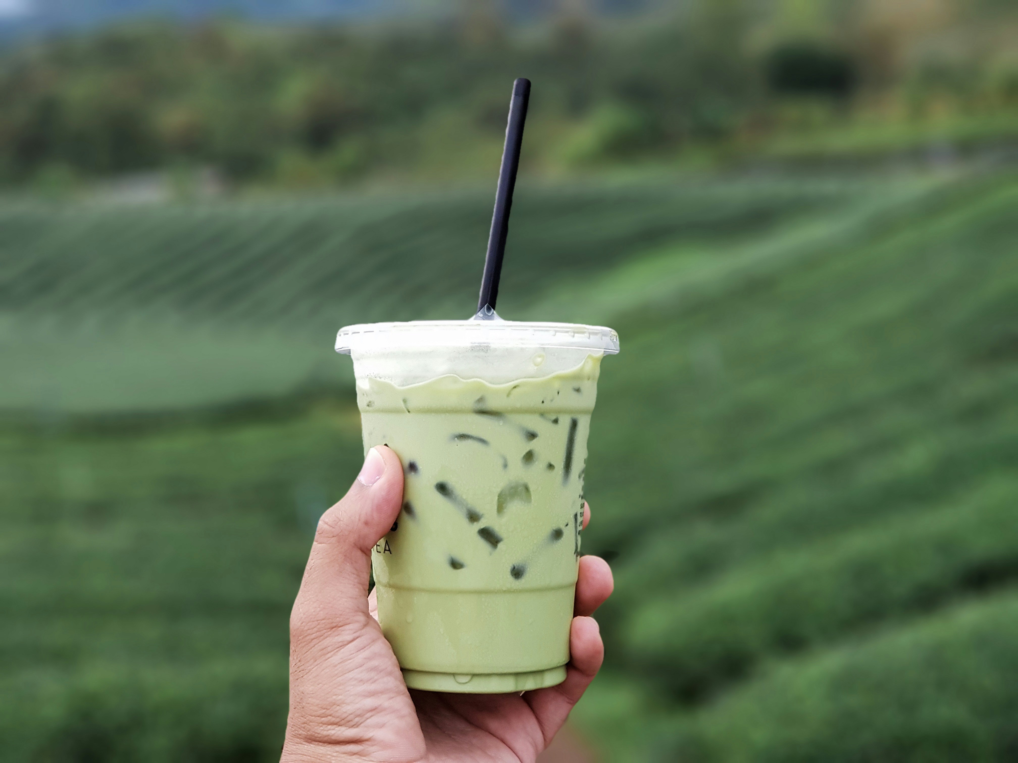 Tea Q Boba