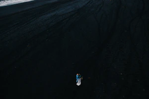 Vik
