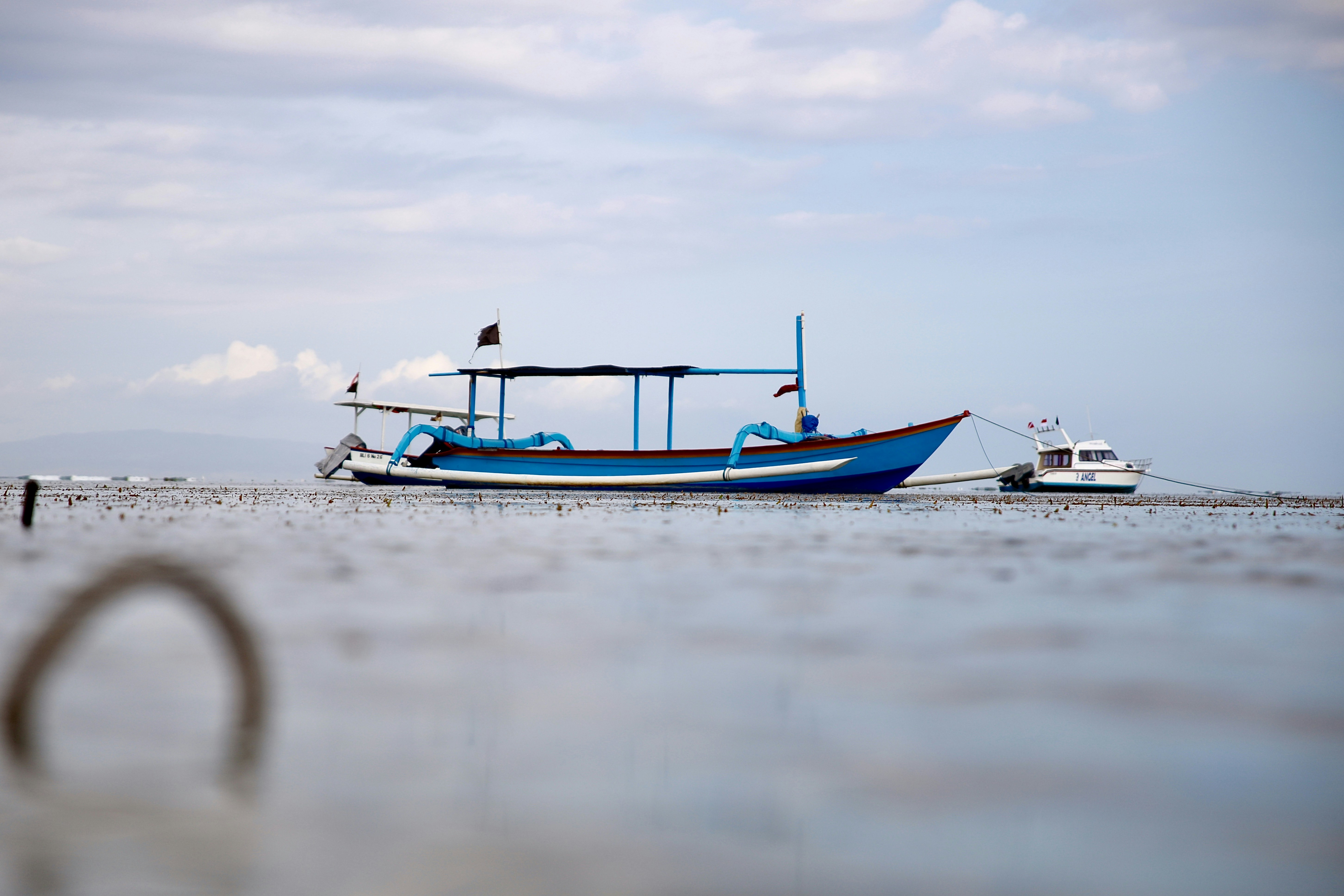 Photo by roving_photos_6565