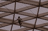 A person climbs a large geometric metal structure made of intersecting beams, creating a diamond pattern. The scene is silhouetted against a muted sky, giving an impression of adventure and exploration.
