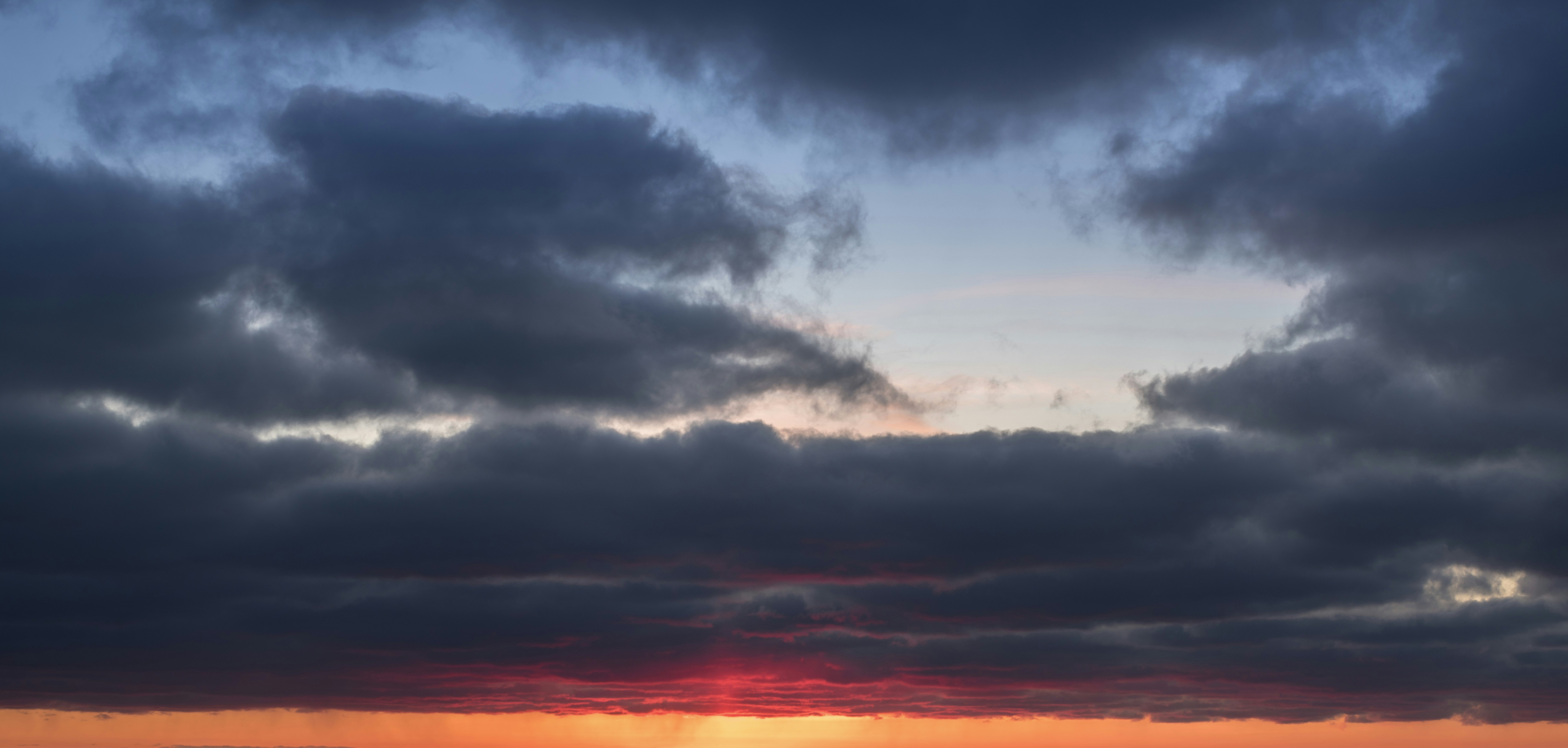 The 19 BEST in Sarnia Barberhead