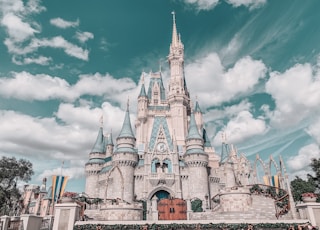 Disney castle during daytime