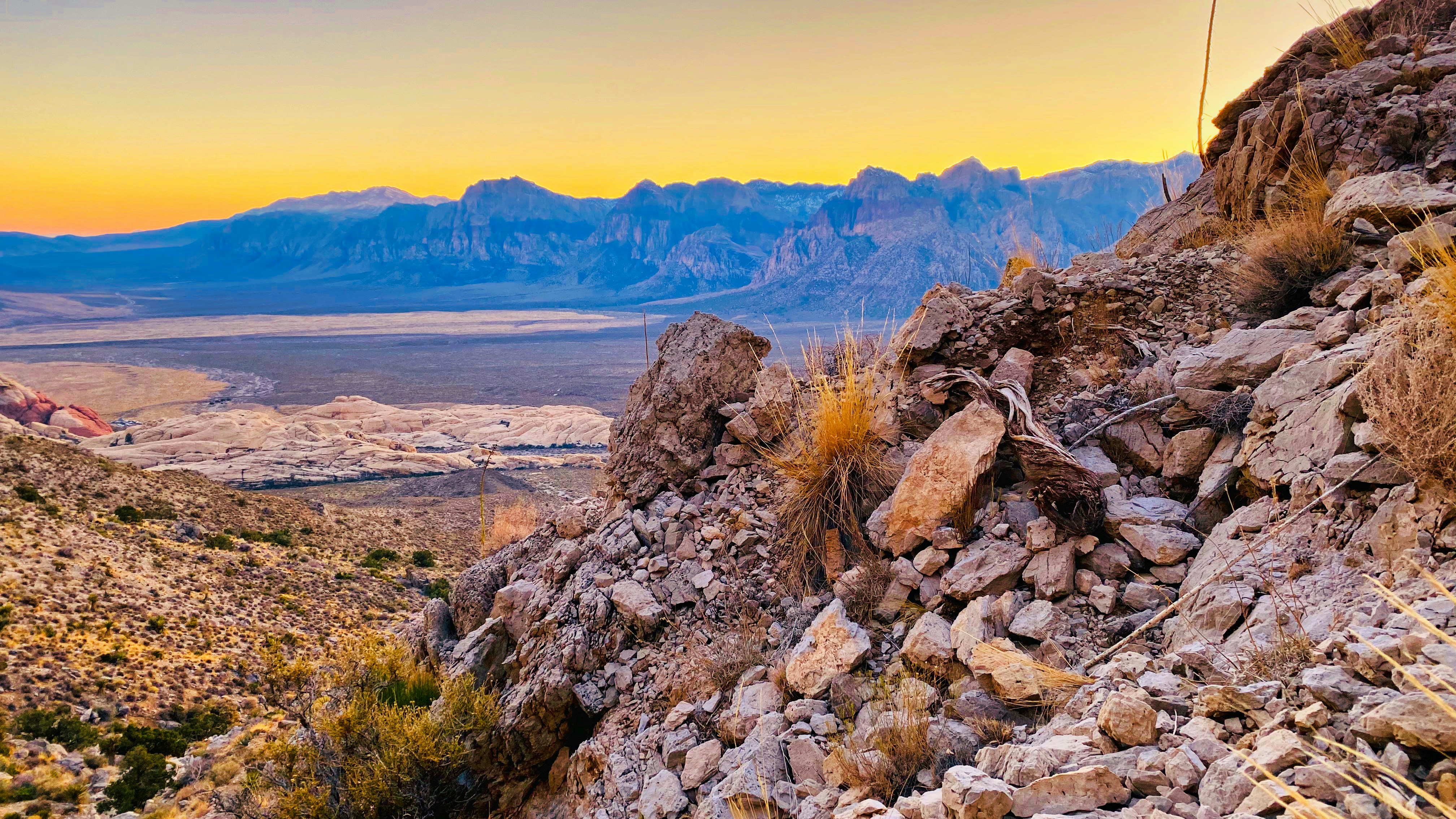 Can Natural Gradient Descent Scale to Frontier Models?