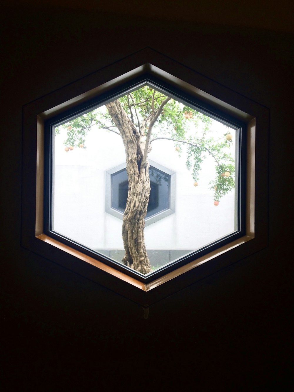 hexagonal window