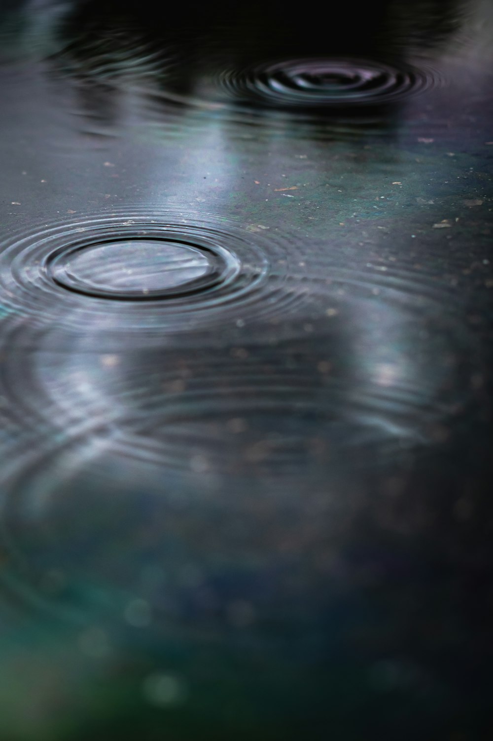 a close up of a puddle of water