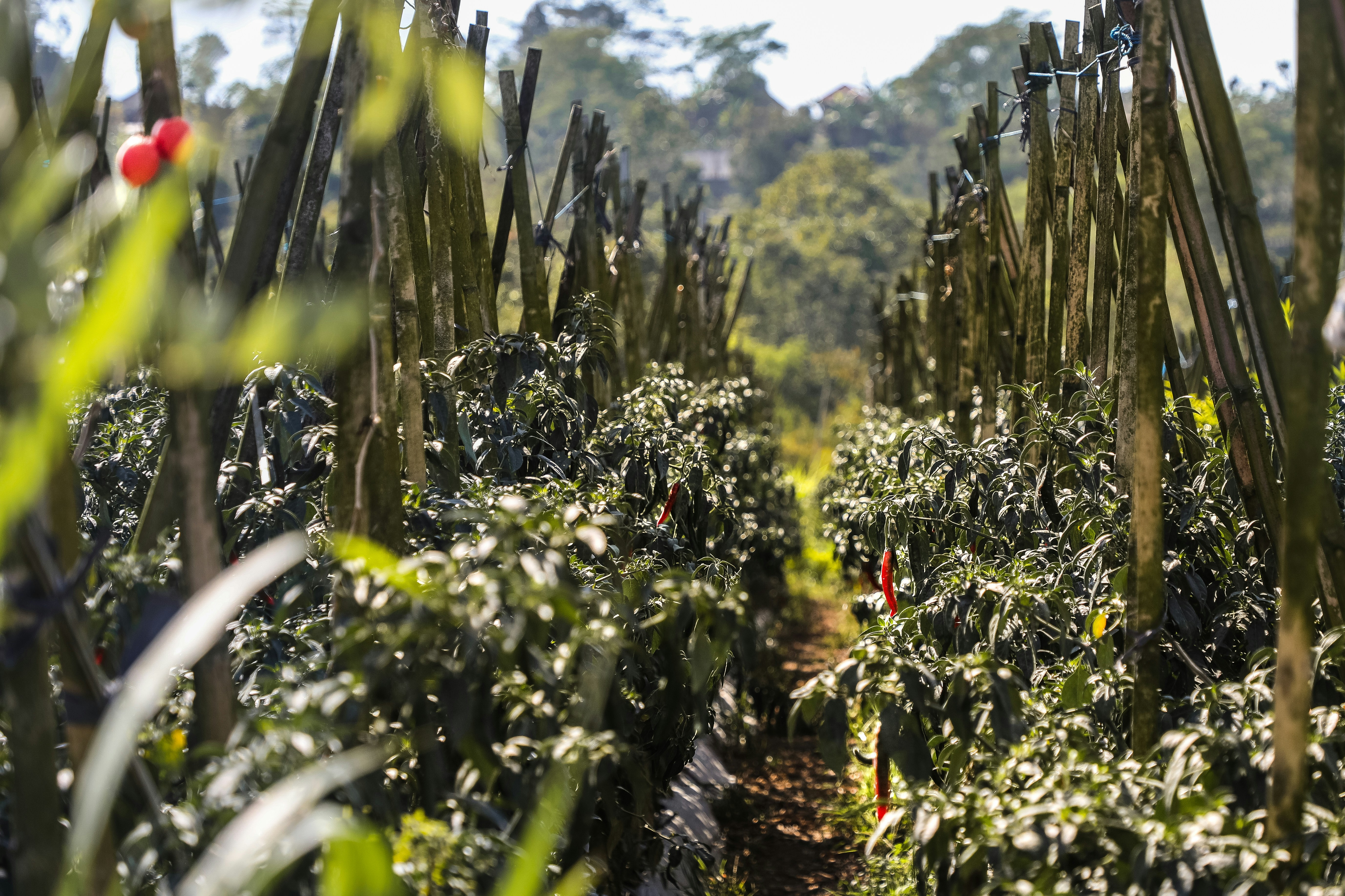 Photo by jamie_davies