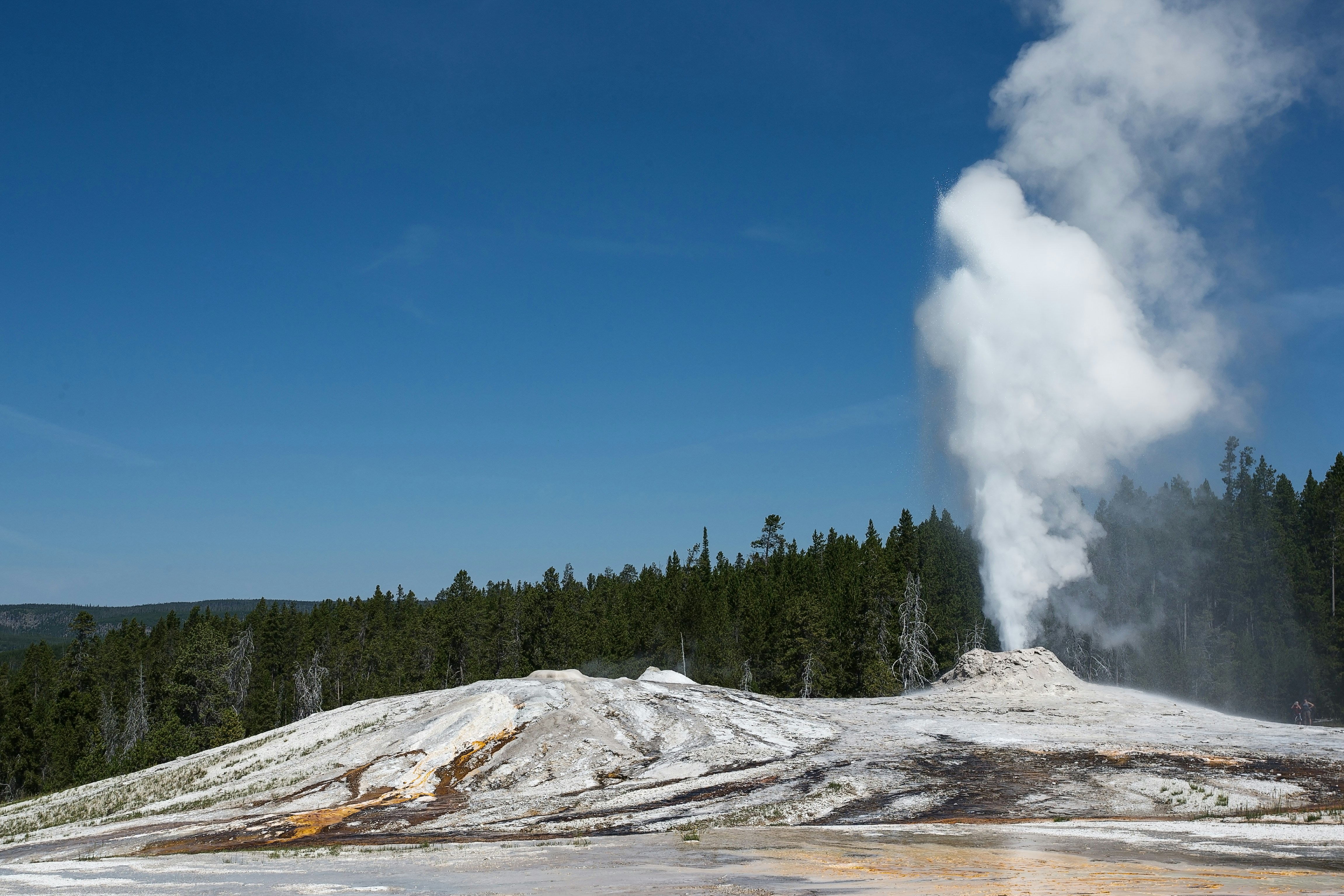 smoking geyser near trees during day photo Free Yellowstone Image on
