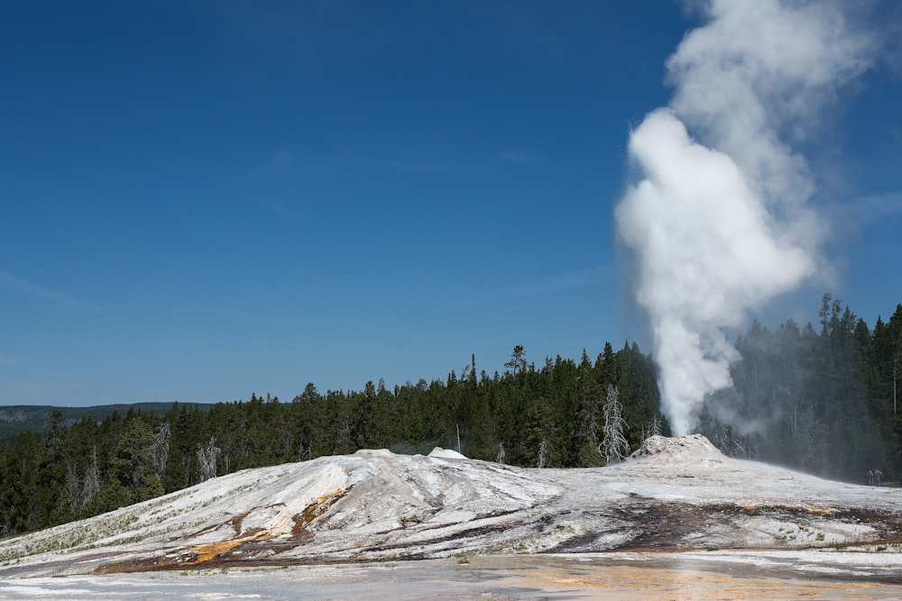 smoking geyser near trees during day