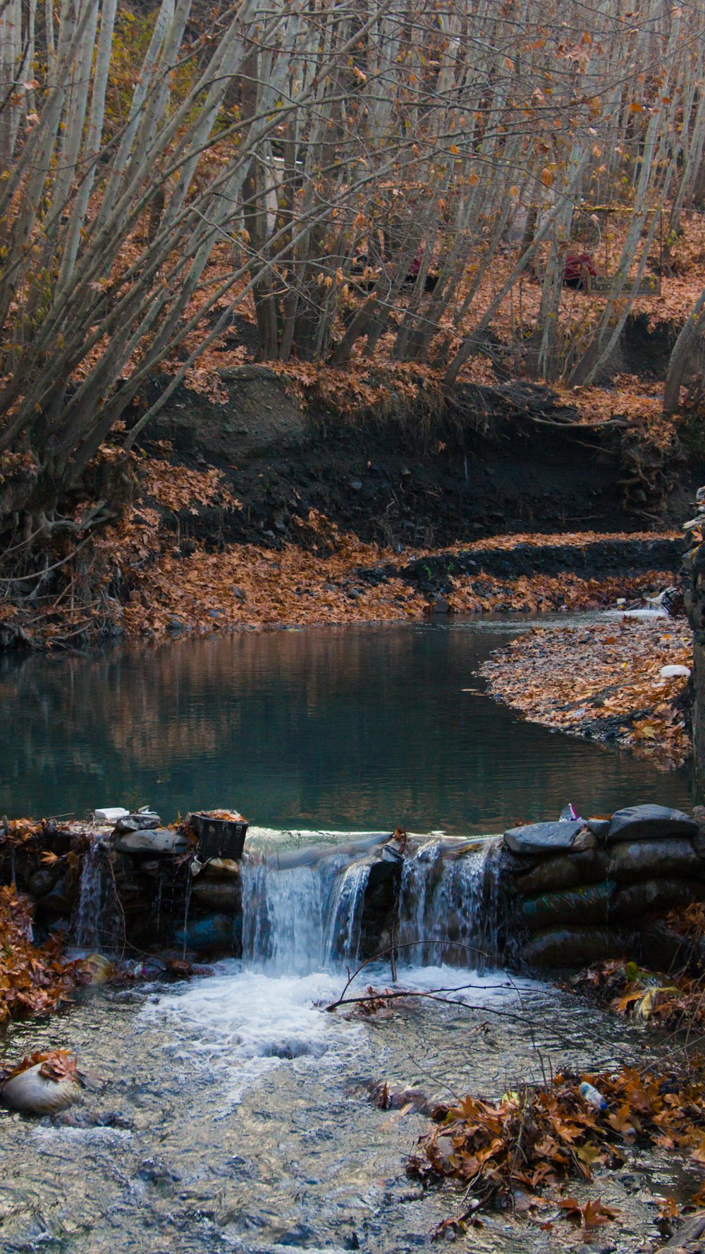 selective focus photography of river during daytime