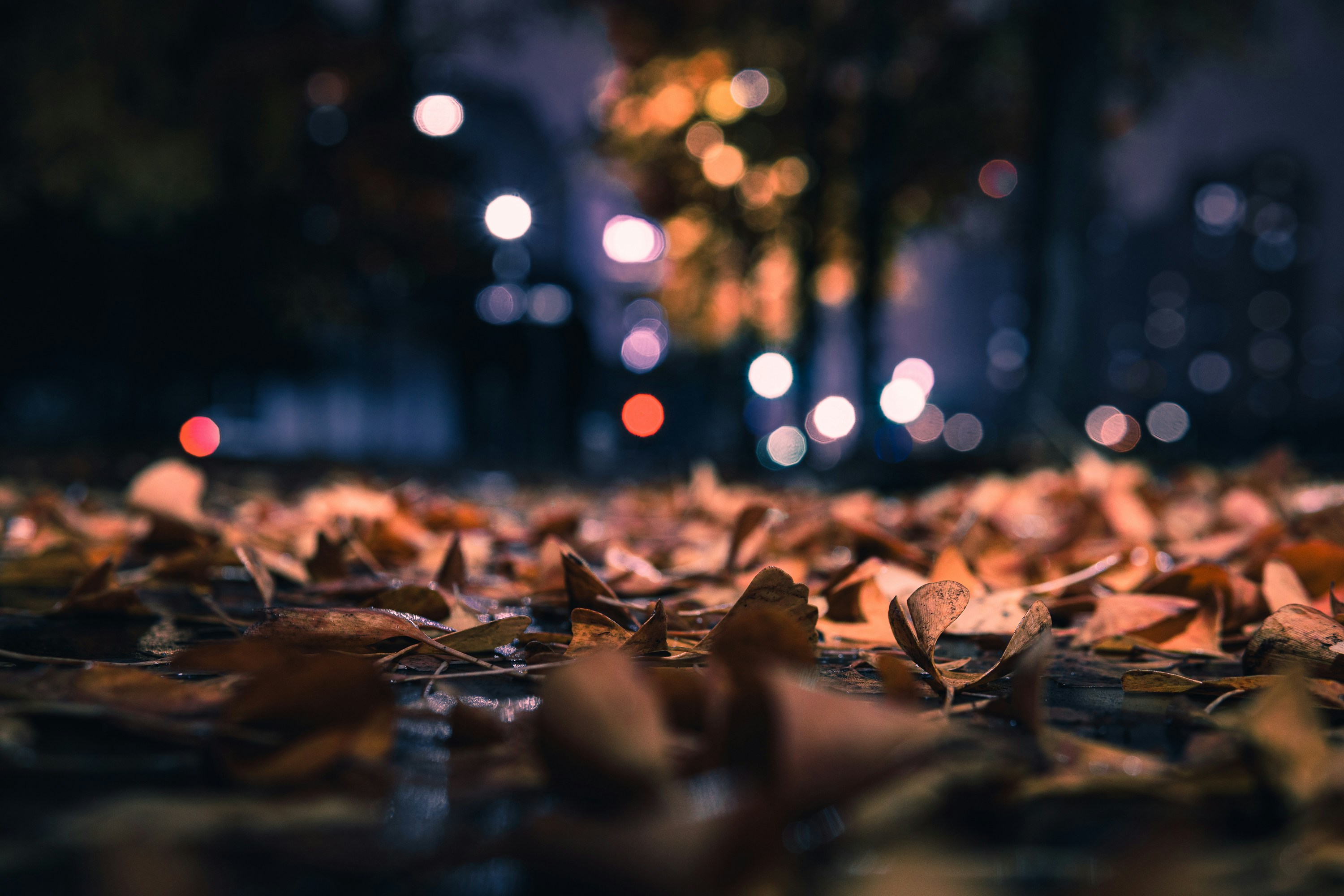 Photo by lin843175442