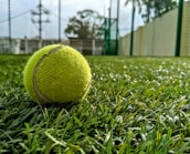 A close-up of a tennis racket and ball resting on a green court surface.