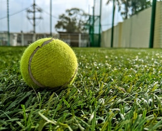 A close-up of a tennis racket hitting a bright yellow ball mid-air on a sunny court.