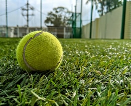 A close-up of a tennis racket and ball resting on a green court surface.