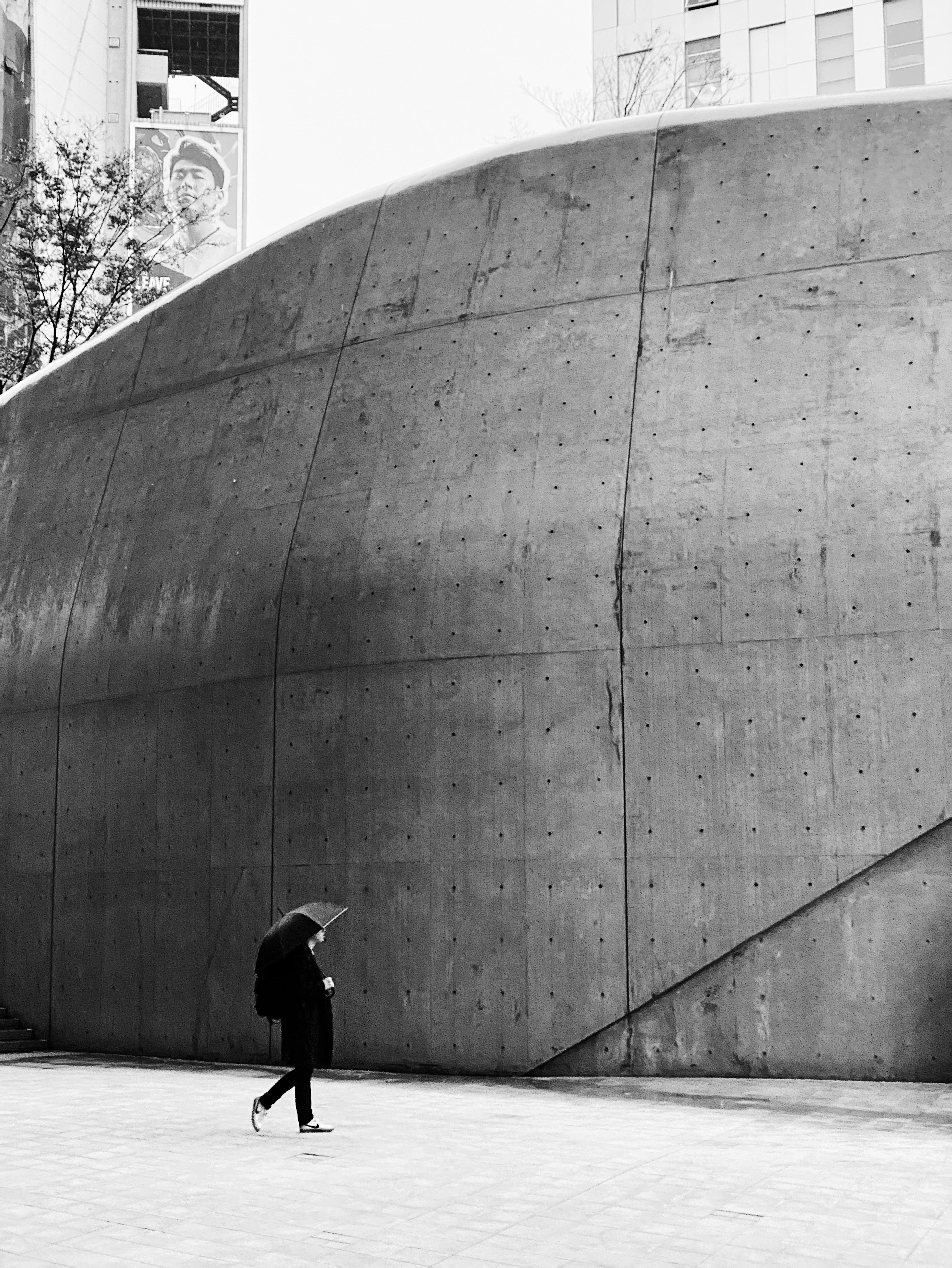 Photo by thexclu