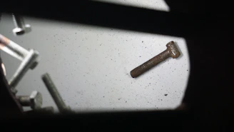 Assortment of stainless steel screws displayed on a wooden table.