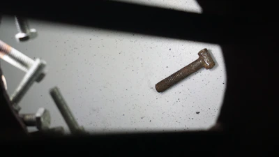 Assortment of stainless steel screws displayed on a wooden table.