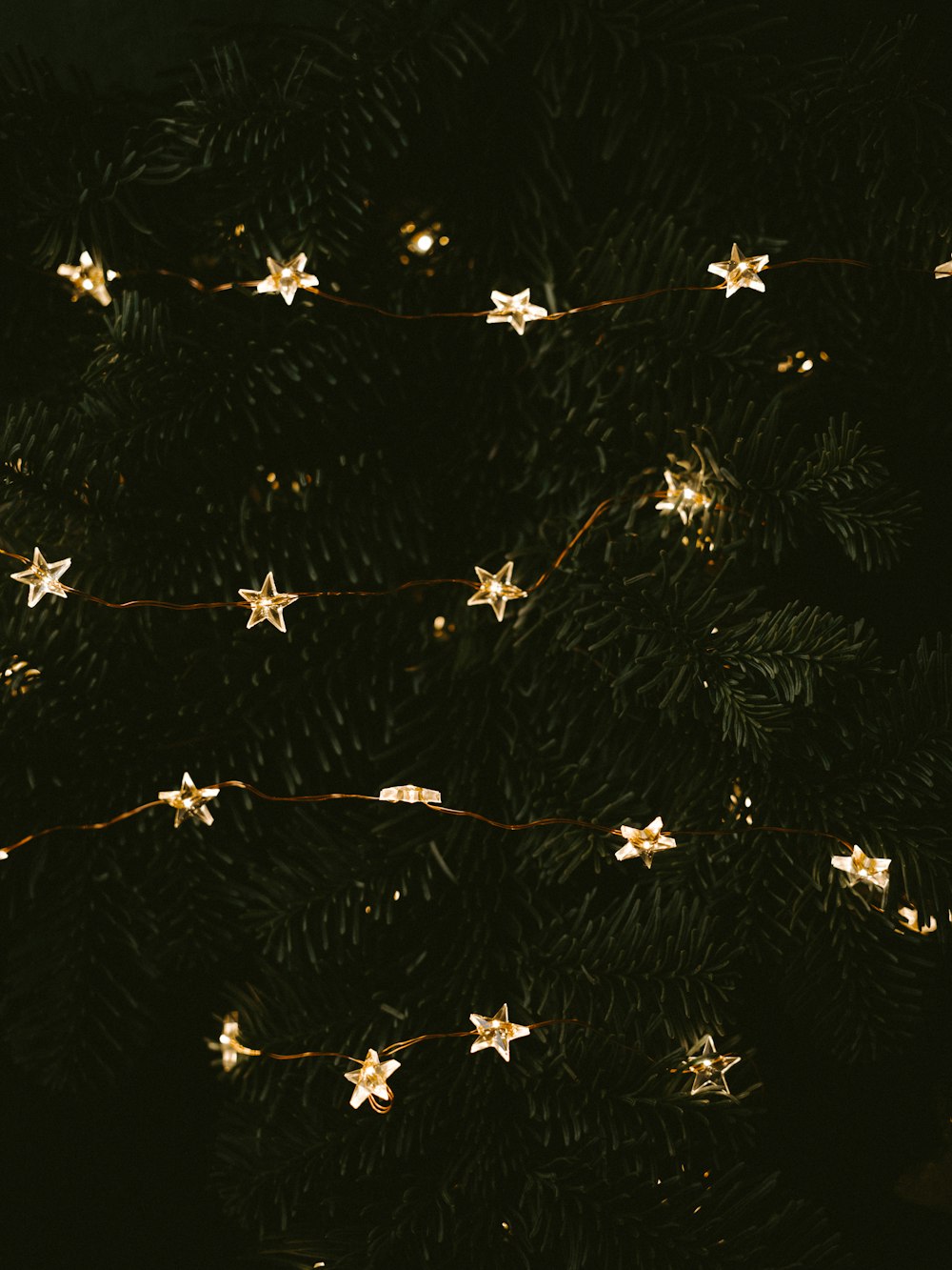 lighted white star string light