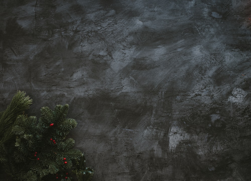 a small christmas tree in front of a dark wall