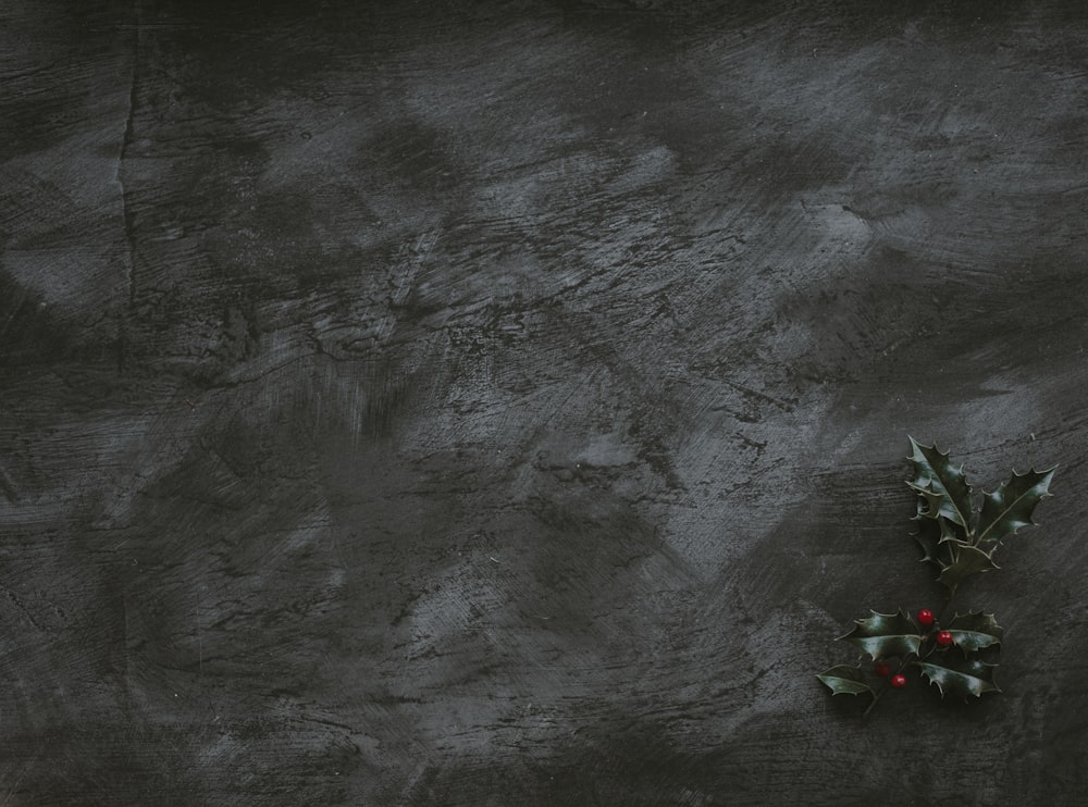 green leaves on gray surface