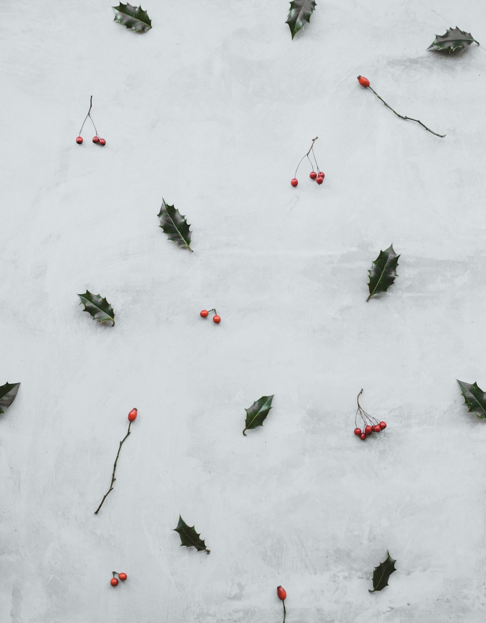 feuilles vertes et fruits rouges