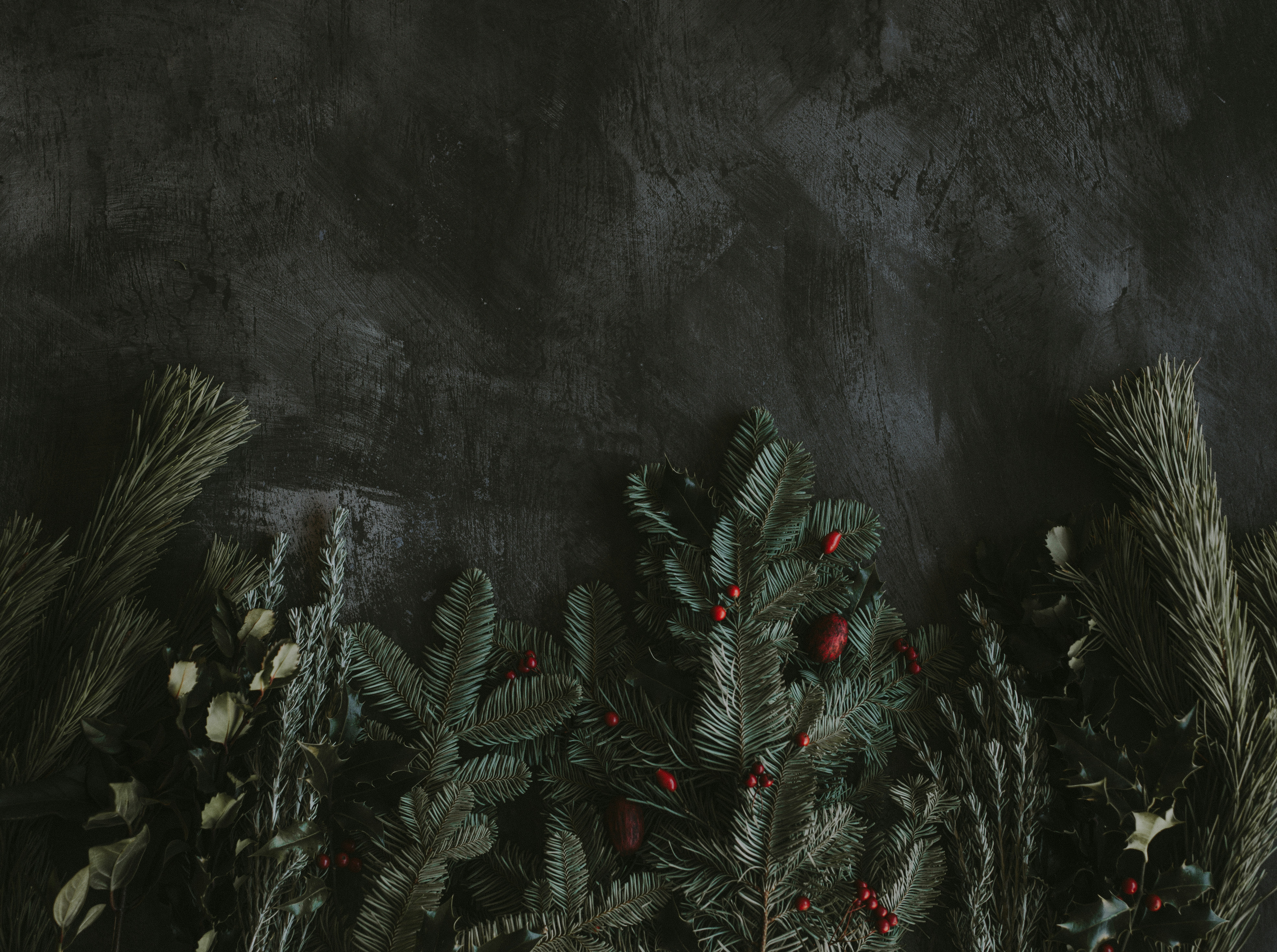 Selfies Festivas com PNGs