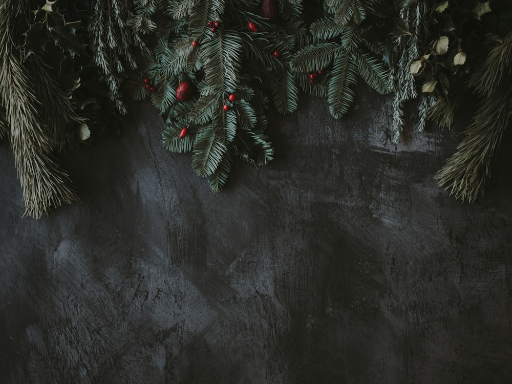 gray pine leaves on gray surface