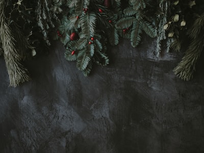 gray pine leaves on gray surface festive teams background