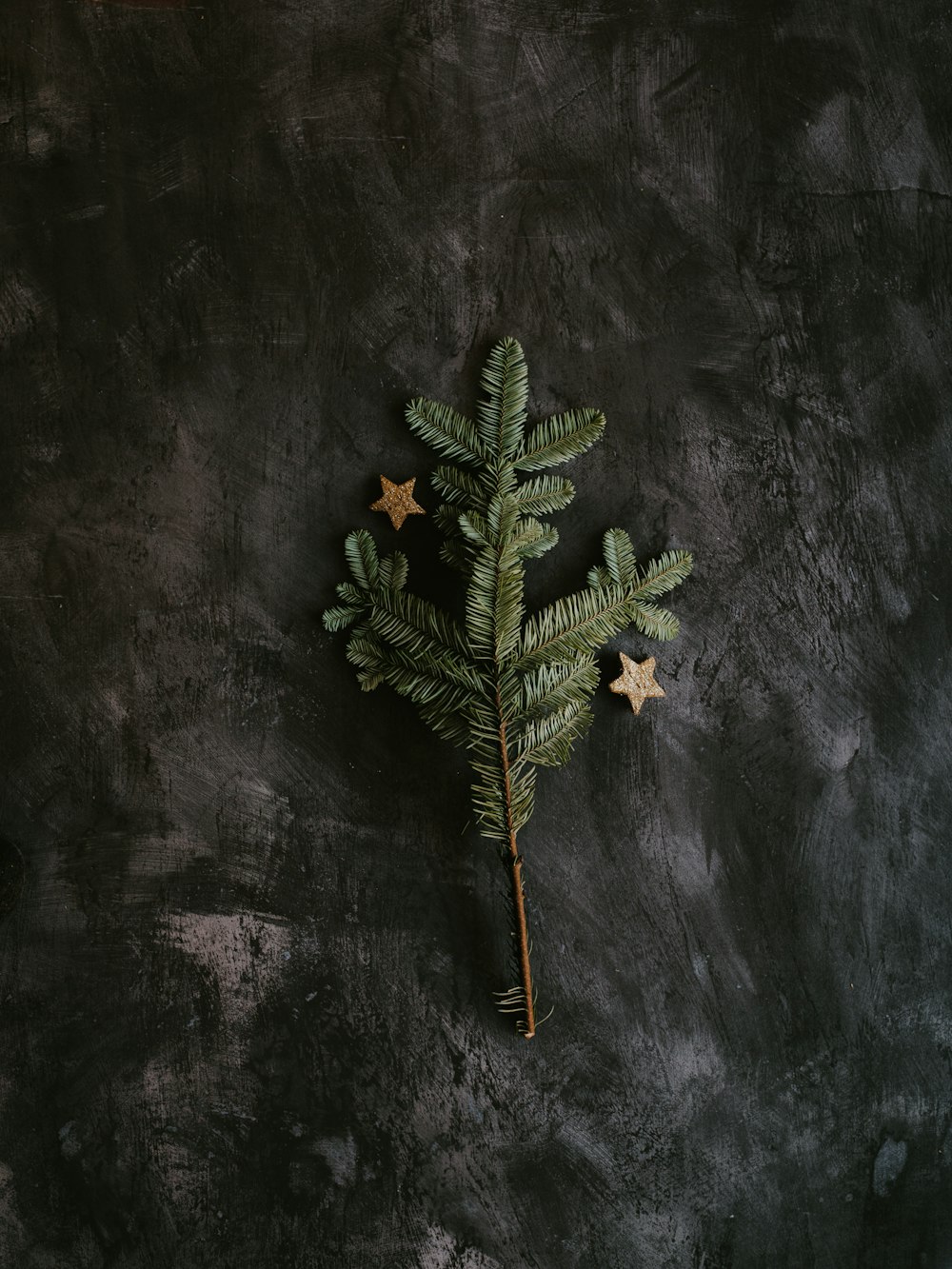 green pine tree on gray surface