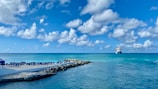 sailing cruise during daytime