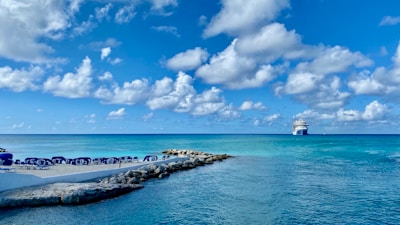 sailing cruise during daytime